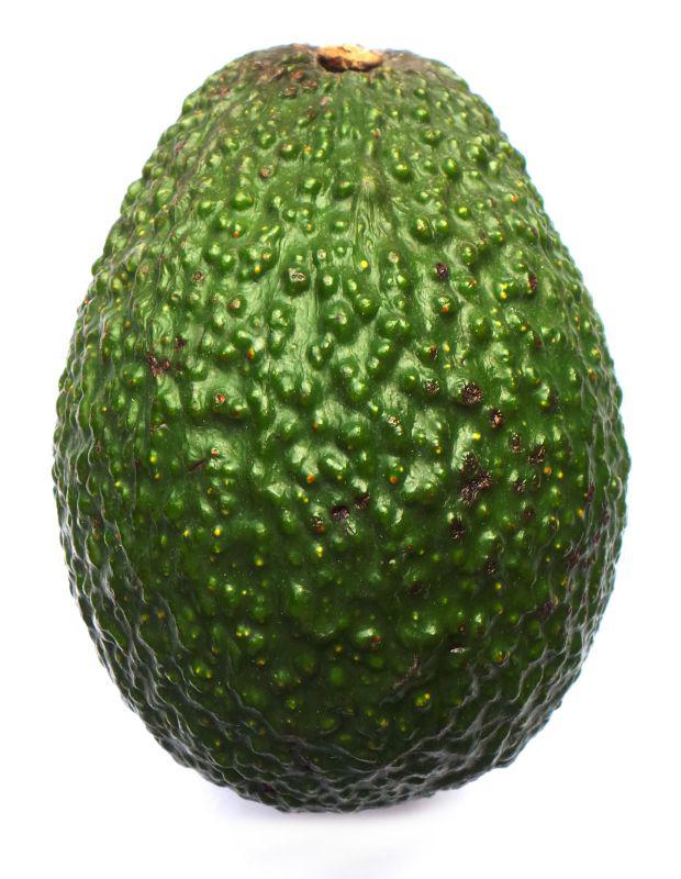 Article | All about avocados